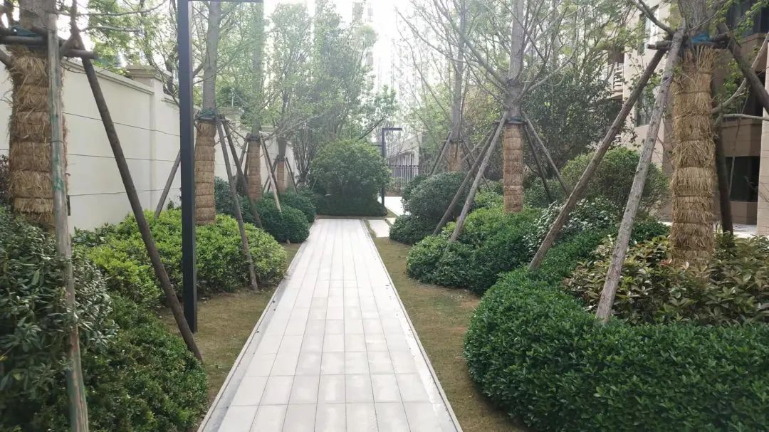 交房维权最后结果都咋样了,最新业主交房维权