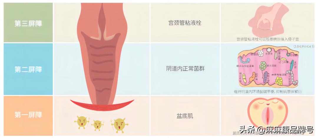 妇科宫颈炎怎么引起的,妇科宫颈炎是什么原因
