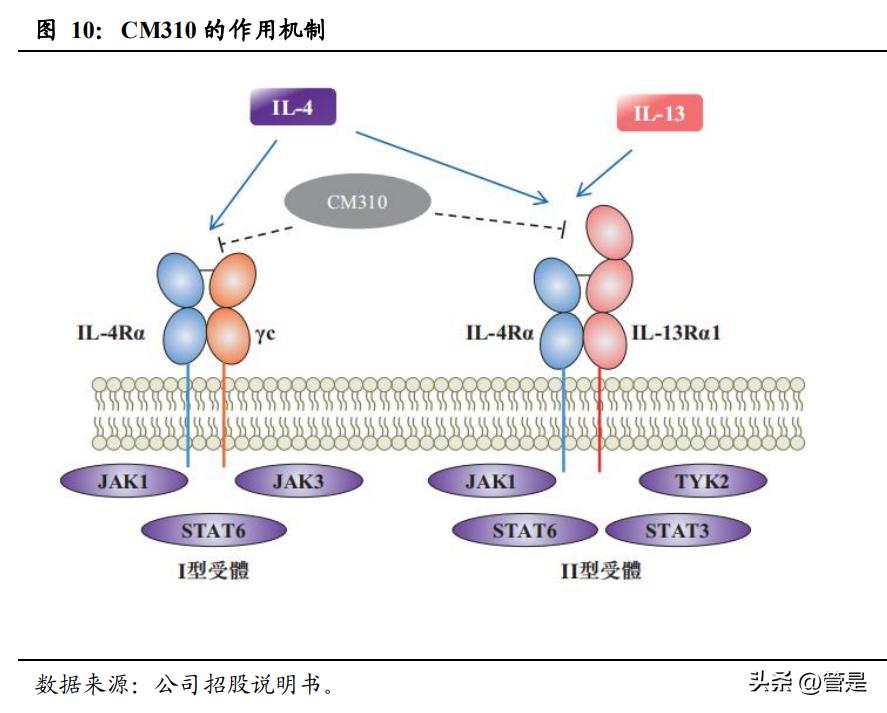 康诺亚生物制剂,康诺亚深度分析