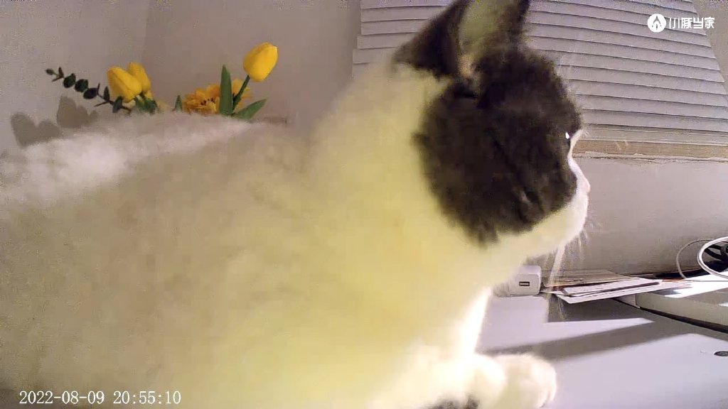 oppo智美生活摄像头2k云台版,oppo智美生活智能摄像头怎么安装