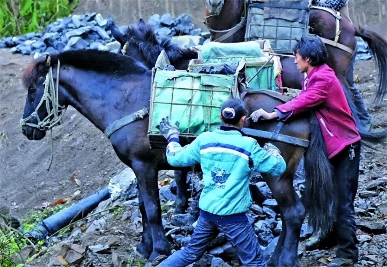 山里马帮的真实生活,农村夫妻货车生活真实记录