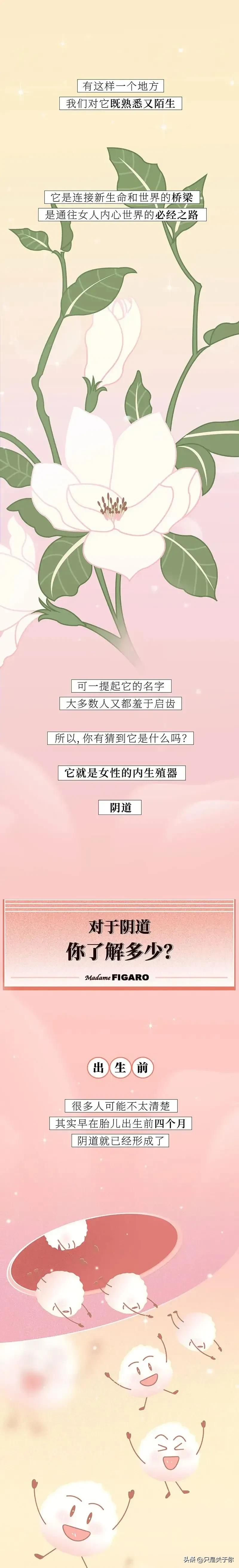 这是一篇关于女生阴道的科普漫画！