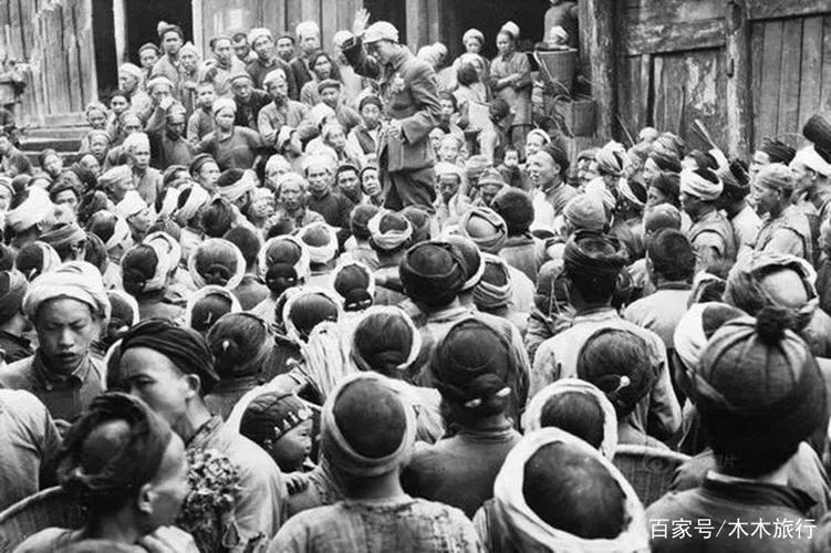 张寡妇的故事,张寡妇怎么成为悍匪的