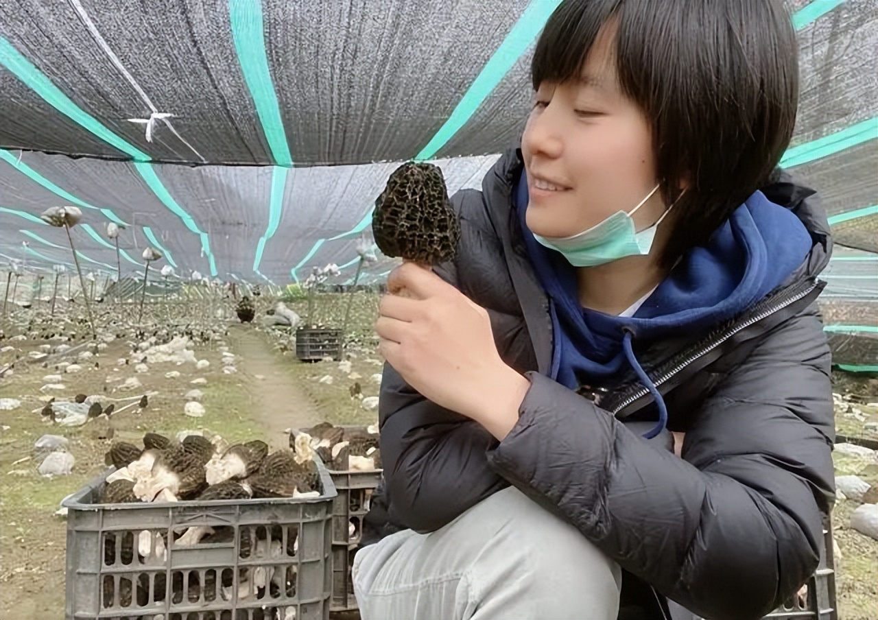 90后大学生回乡带村民致富,汶川80后女孩放弃工作回乡创业