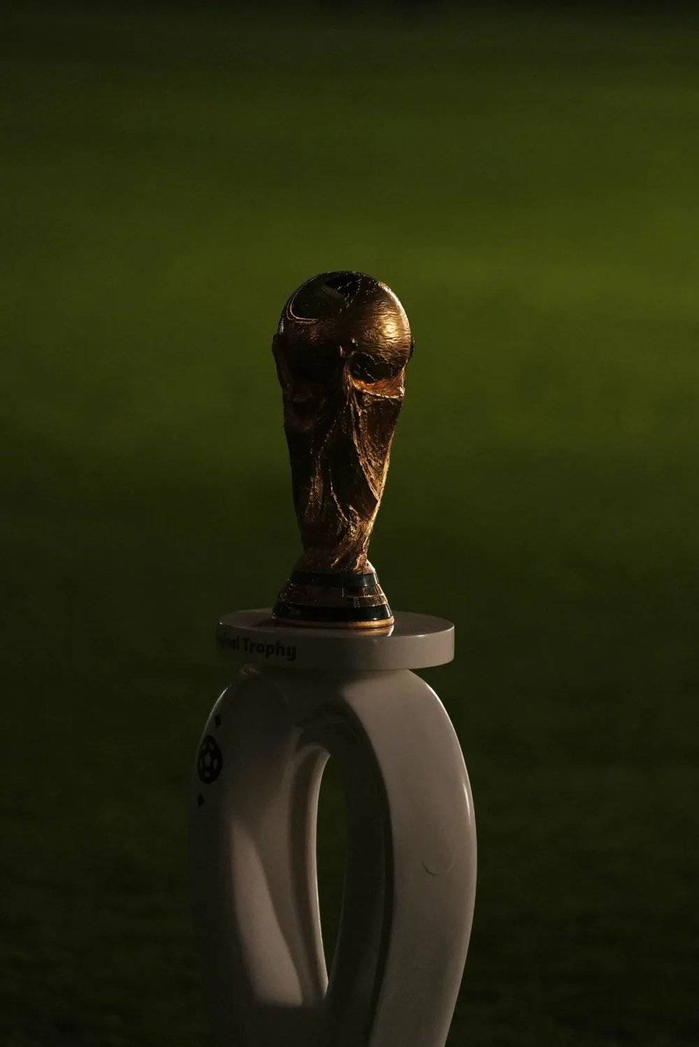 卡塔尔世界杯之旅,卡塔尔的世界杯之旅