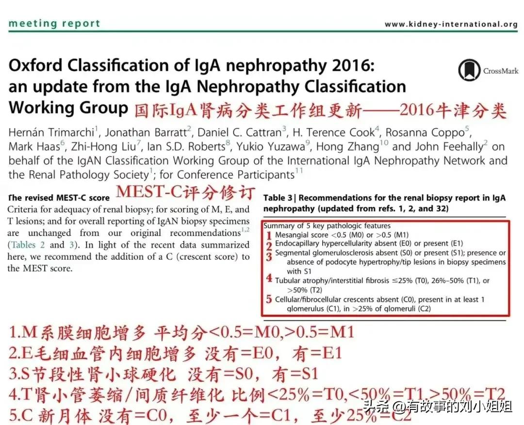 慢性肾炎二期治愈标准,二十年来慢性肾炎的发展