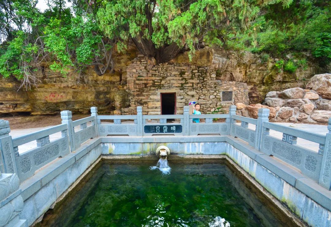 济南趵突泉真的很美,济南趵突泉必看的几个泉水