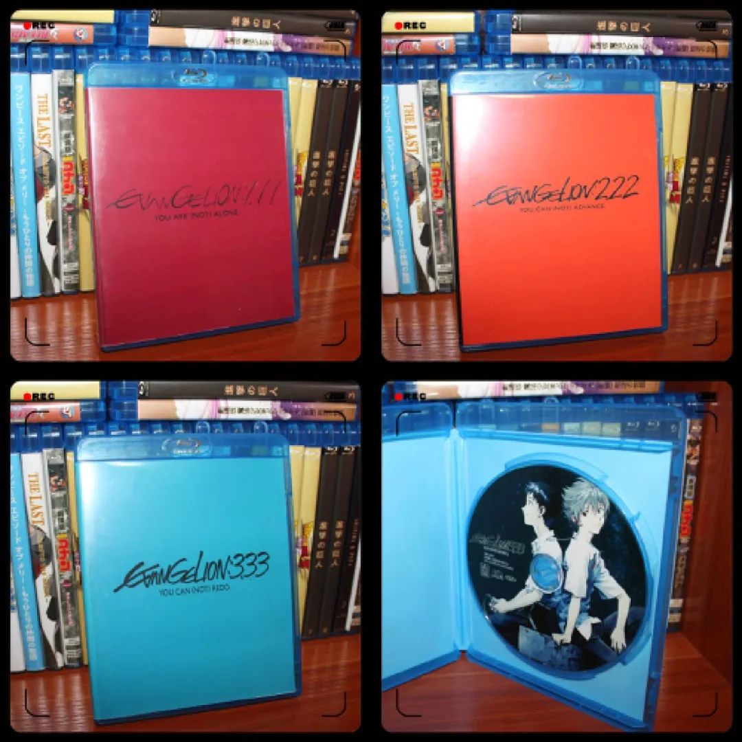 掌控一切英文翻译,掌控一切动漫解说