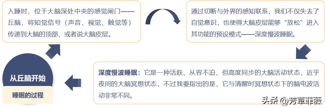 我们为什么要按时睡觉,你为什么每天都要睡觉