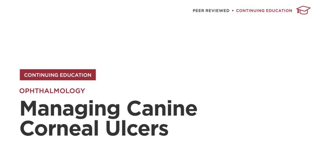 猫咪惰性角膜溃疡,犬角膜溃疡导致的原因