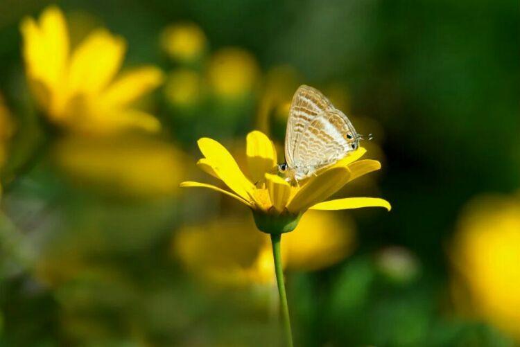 被人踩了别人不道歉我该怎么做,被人踩怎么回击