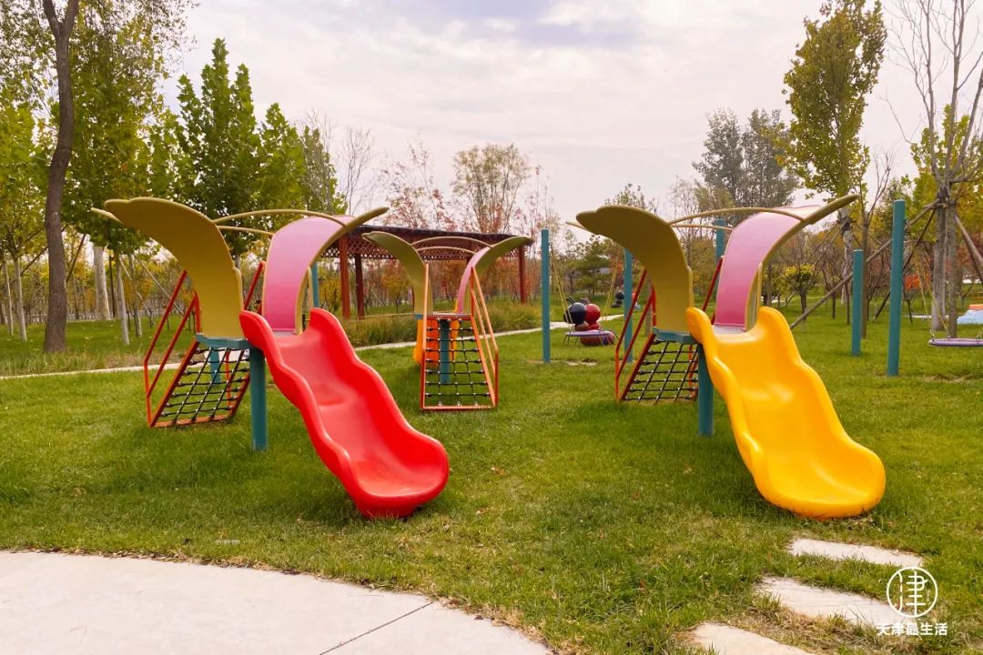 阳性+6例！蓟州这些场所开放！但为嘛我劝你，周末一定去趟武清区