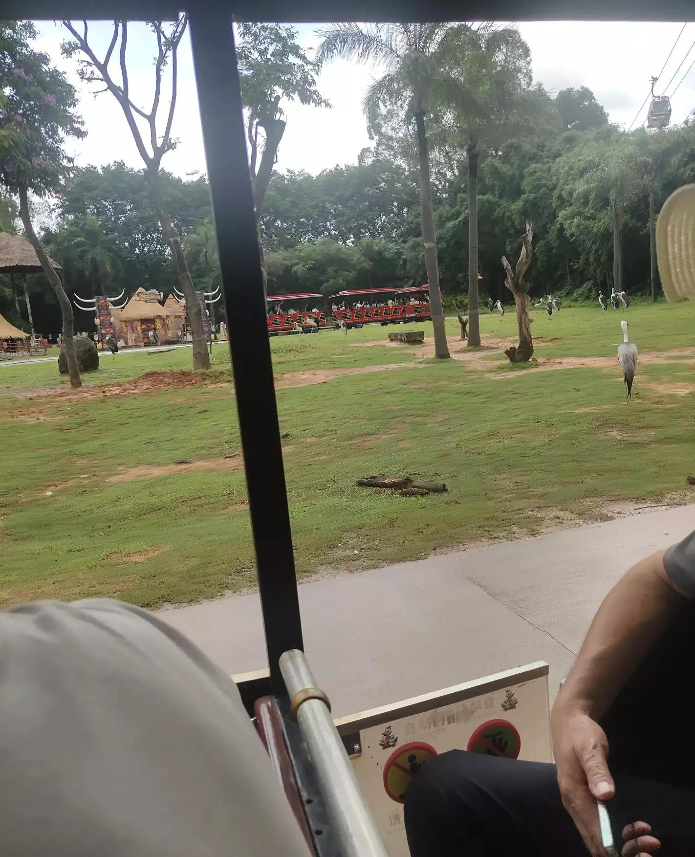 广州长隆野生动物园面积,长隆野生动物园在哪个区