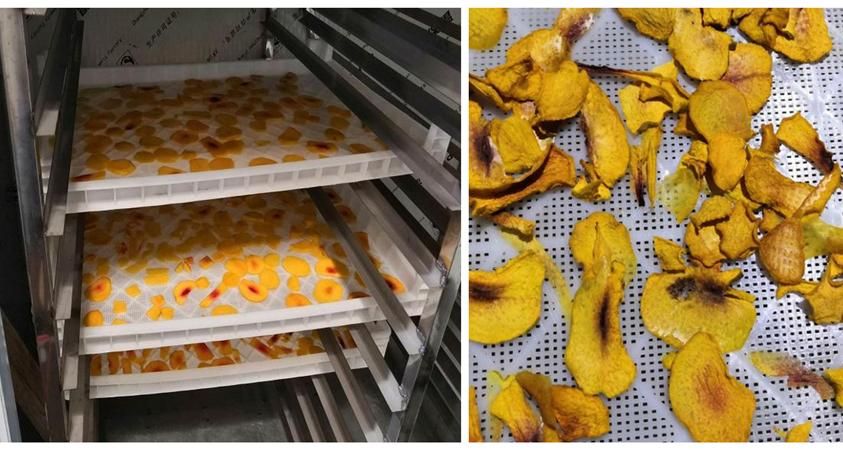 食品烘干机设备如何选择,全自动食品切割烘干加工设备