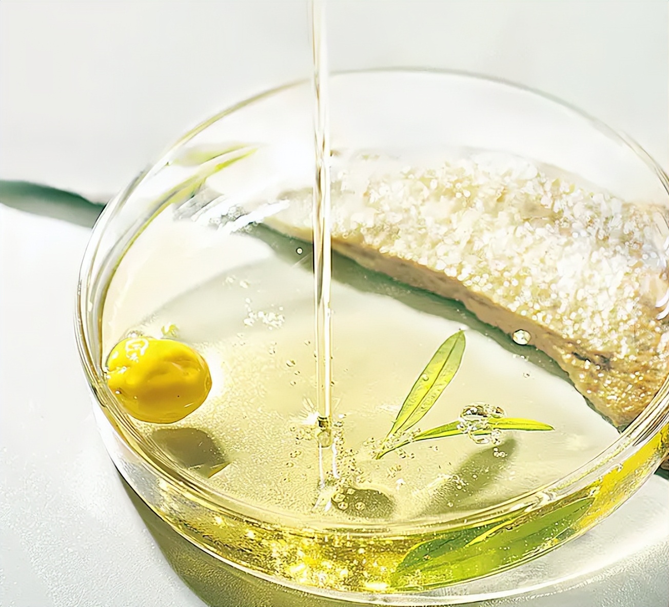 植物提取物是智商税嘛,植物提取物属于食品吗