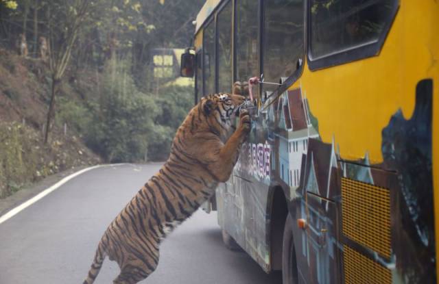 80个难得一见的图片,100个难得一见照片