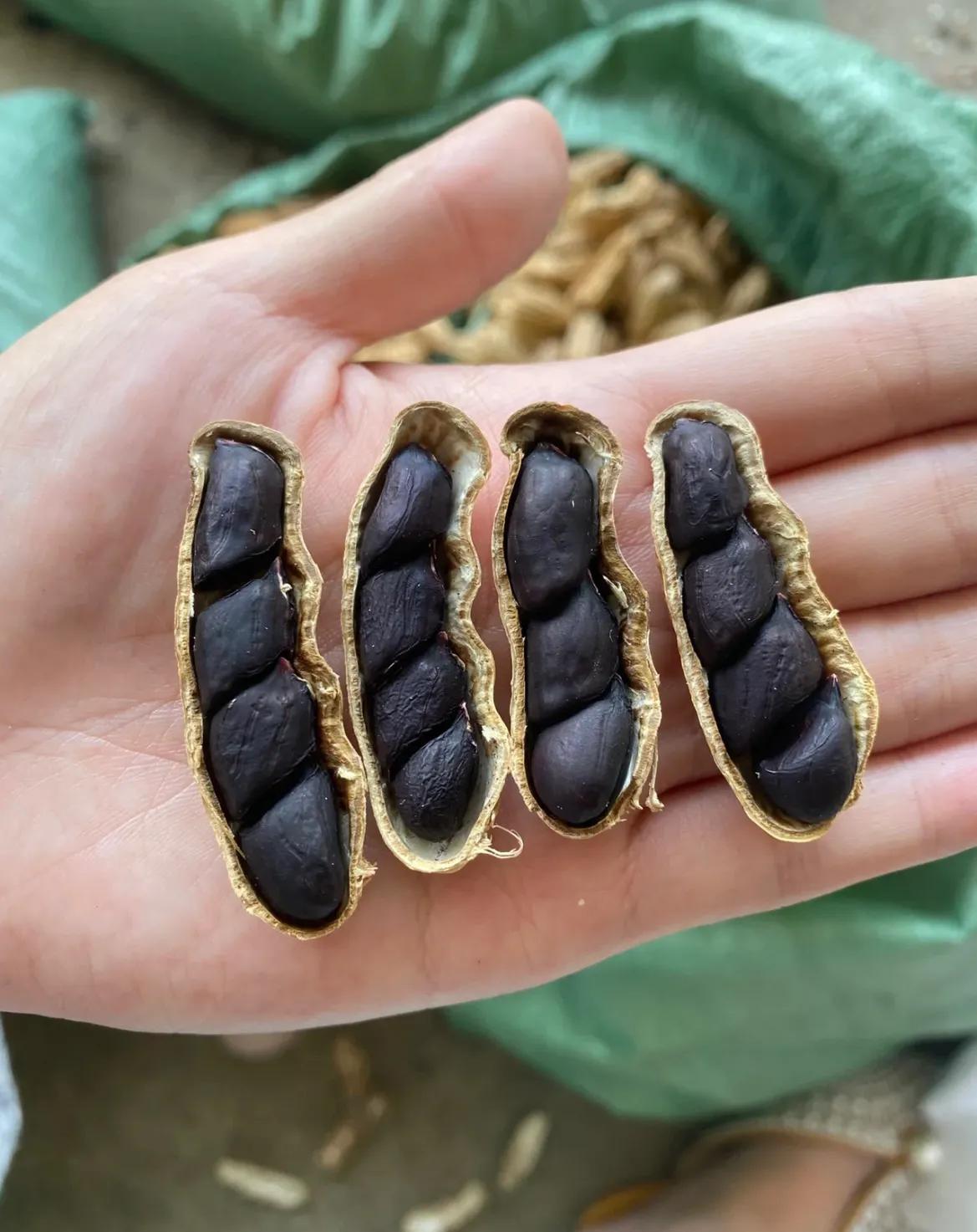 彩色花生和黑花生,黑色花生和红色花生营养价值