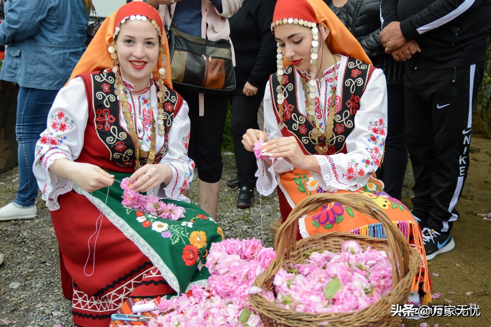 保加利亚玫瑰的精油,保加利亚玫瑰假花