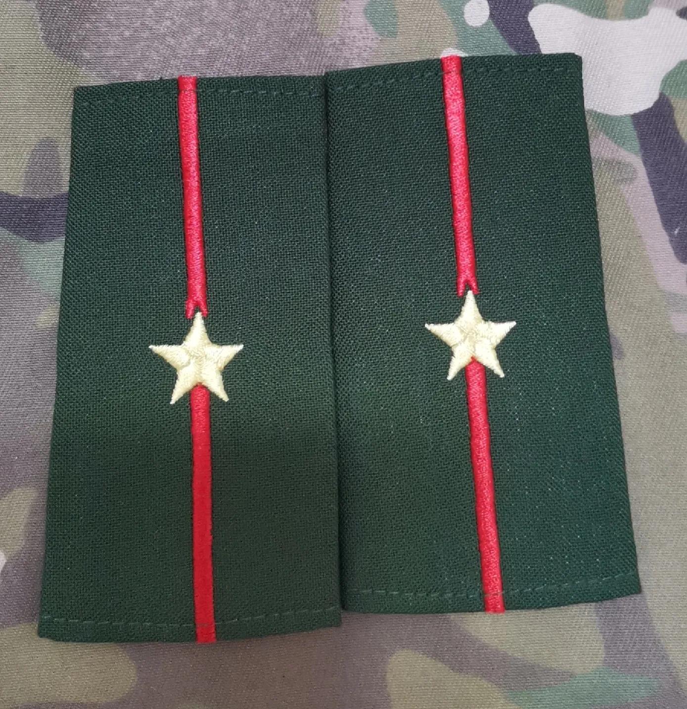 退役徽章欣赏（八七式*警武**警官套式警衔）