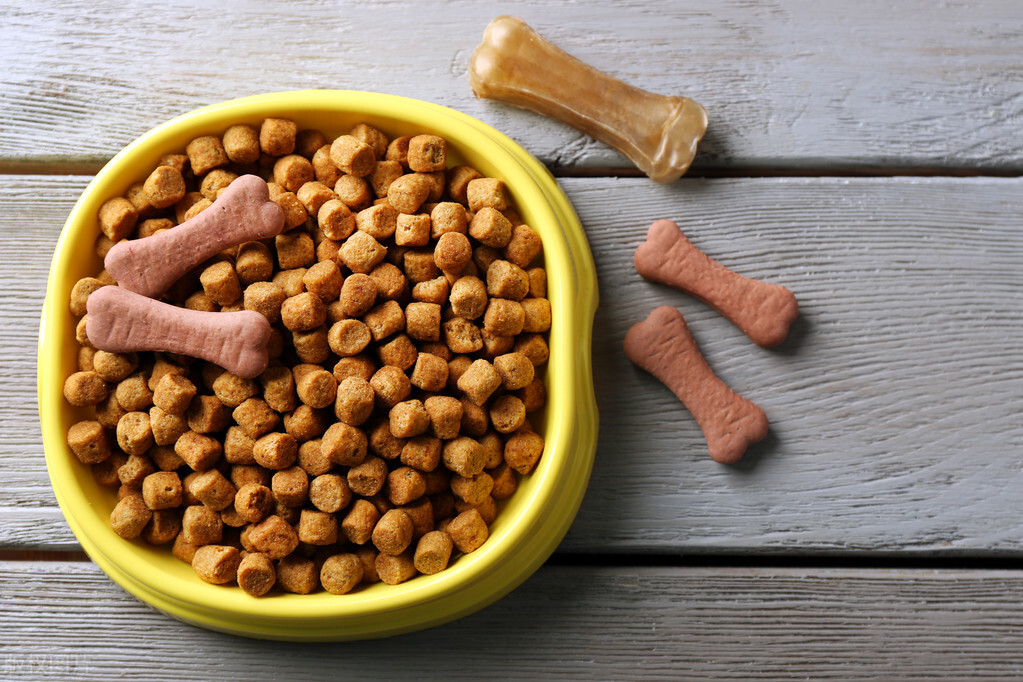 为啥现在的狗越来越难养,成年后的狗子还能养好吗