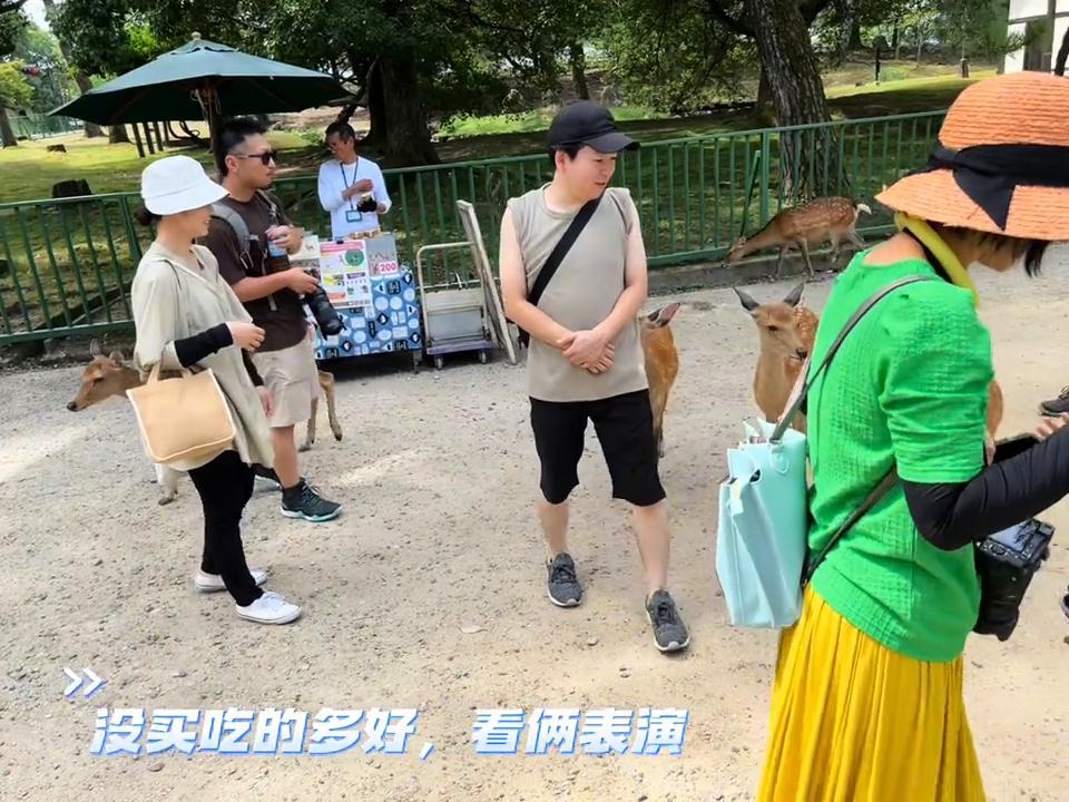 奈良看鹿浅草寺,奈良看鹿