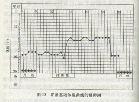 掌控排卵期的正确方法,你如何发现排卵期