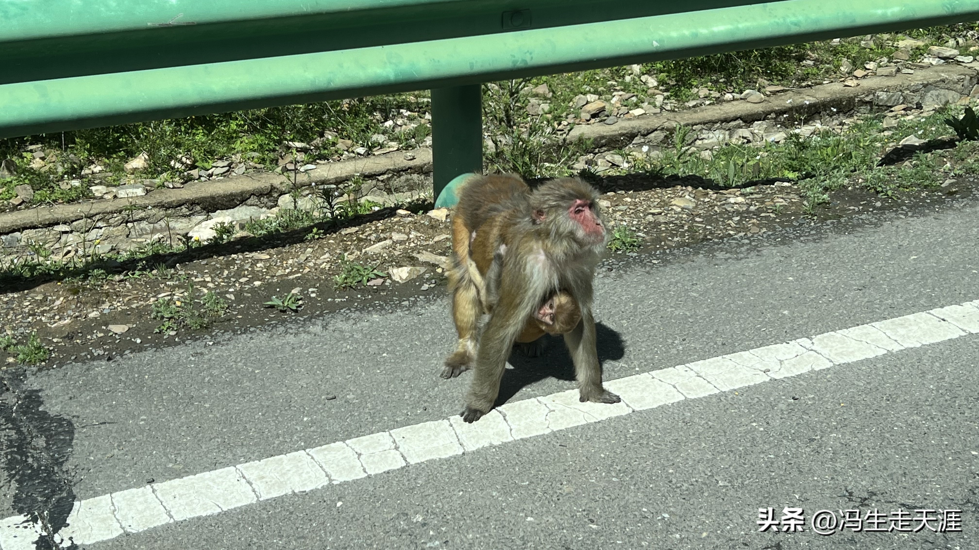 g317川藏线全程线路详细,g317川藏北线景点康定