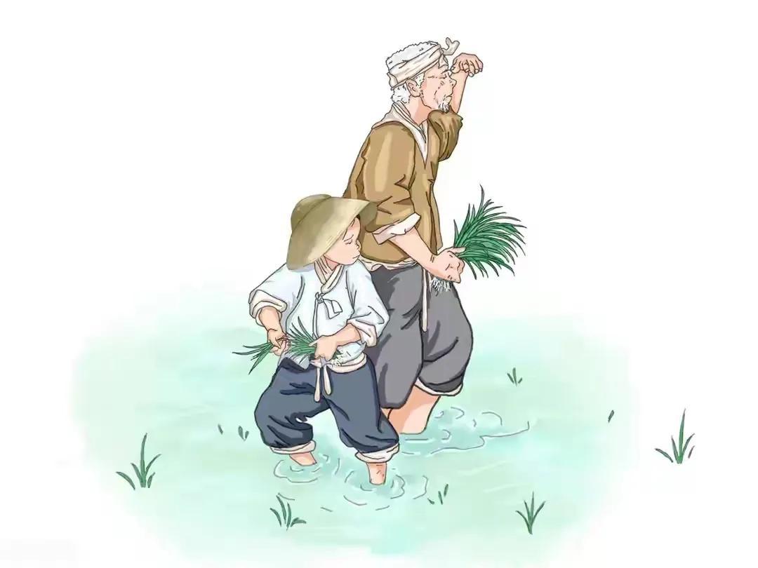 自家承包地被别人承包能收回吗,承包地被他人霸占怎样解决