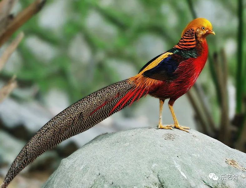 刘明杉《宋明之际民俗信仰中的妈祖形象》