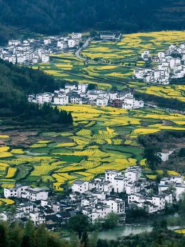 清明踏青不远行,这些宝藏打卡地哪个可以承包你的假期?