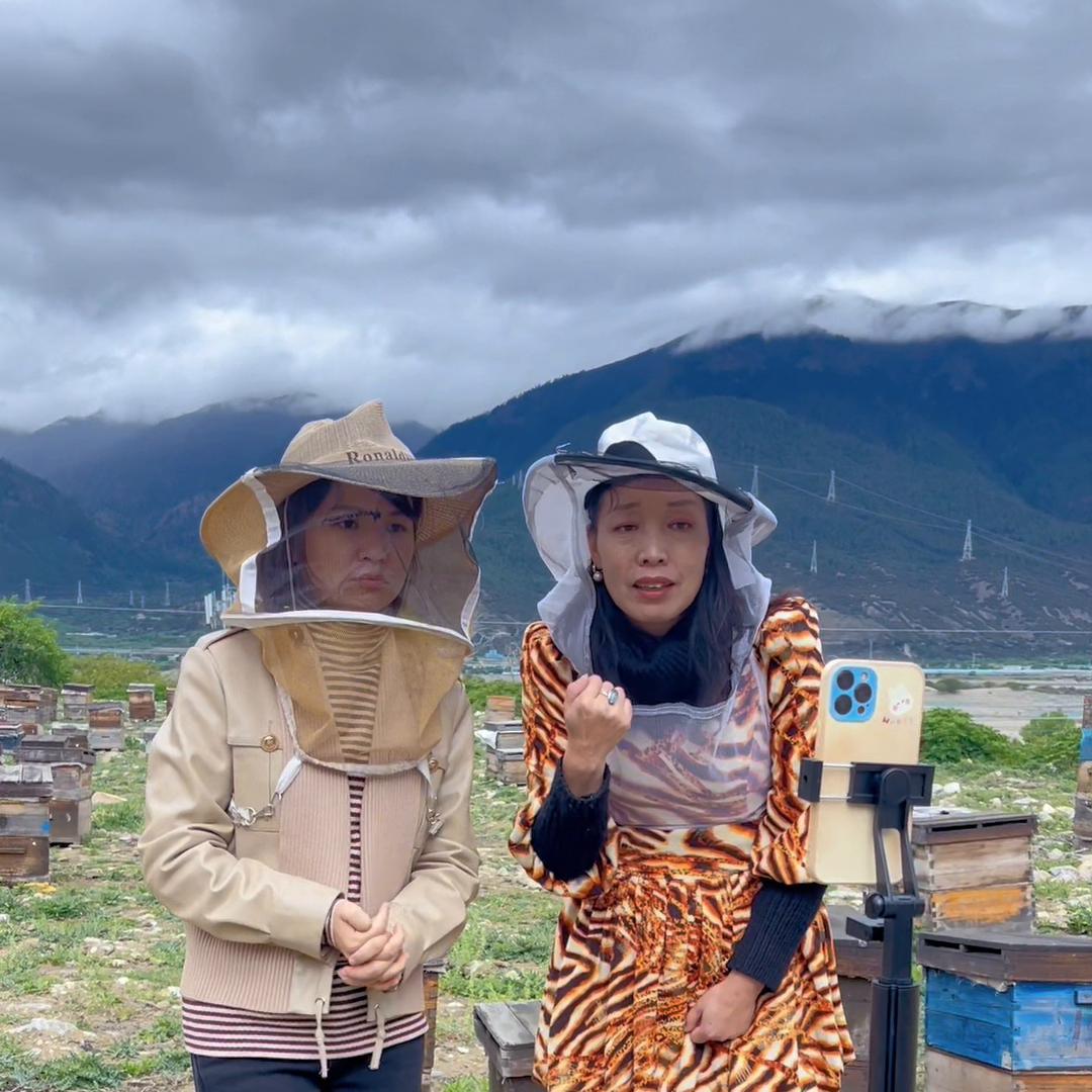 蜂蜜和益母草蜜哪个好喝,益母草蜂蜜的作用与功效图片