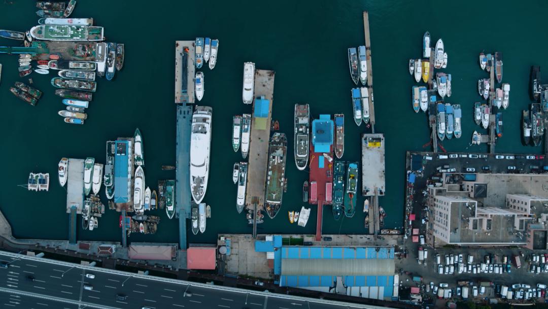 中国人冒死拍的纪录片,一群中国人冒死拍摄