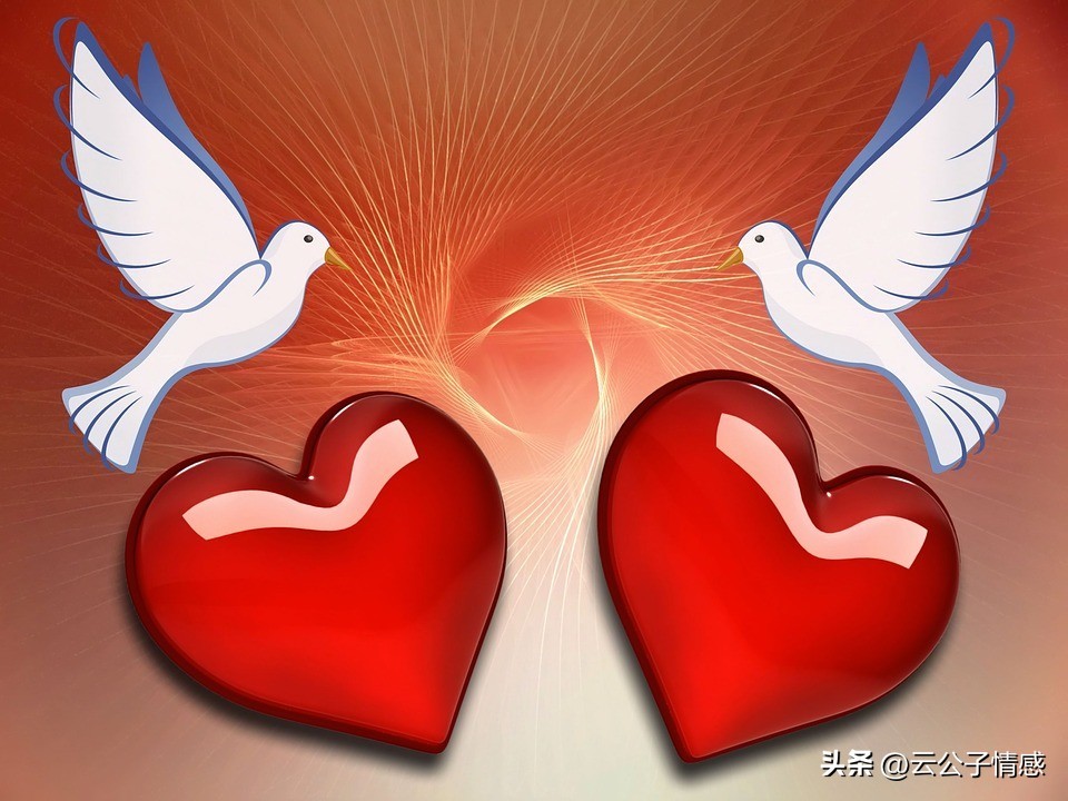 很暖心的动物励志小故事集锦,励志动物小故事正能量故事