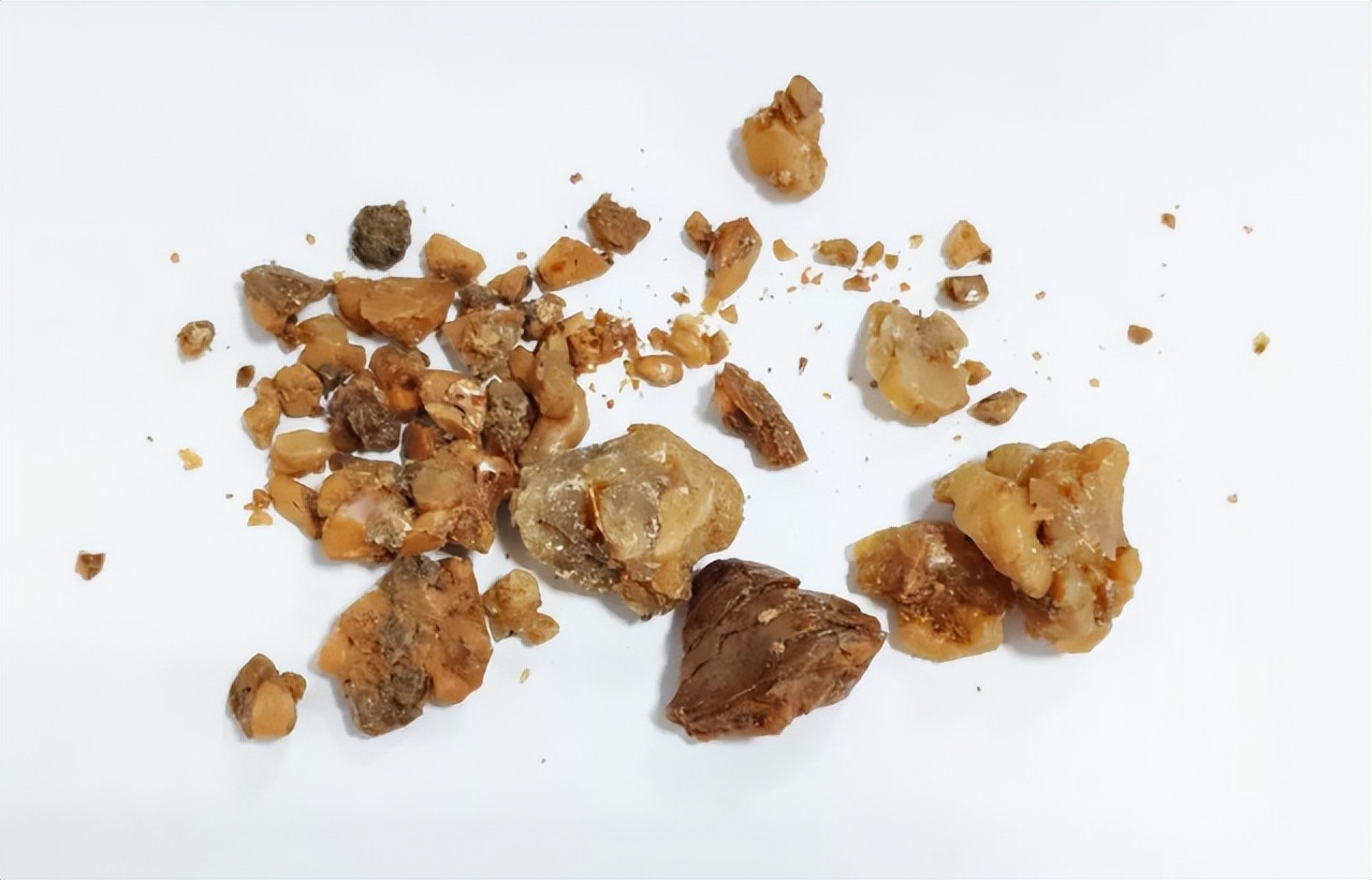 带你识别肉桂,带你识别丁香