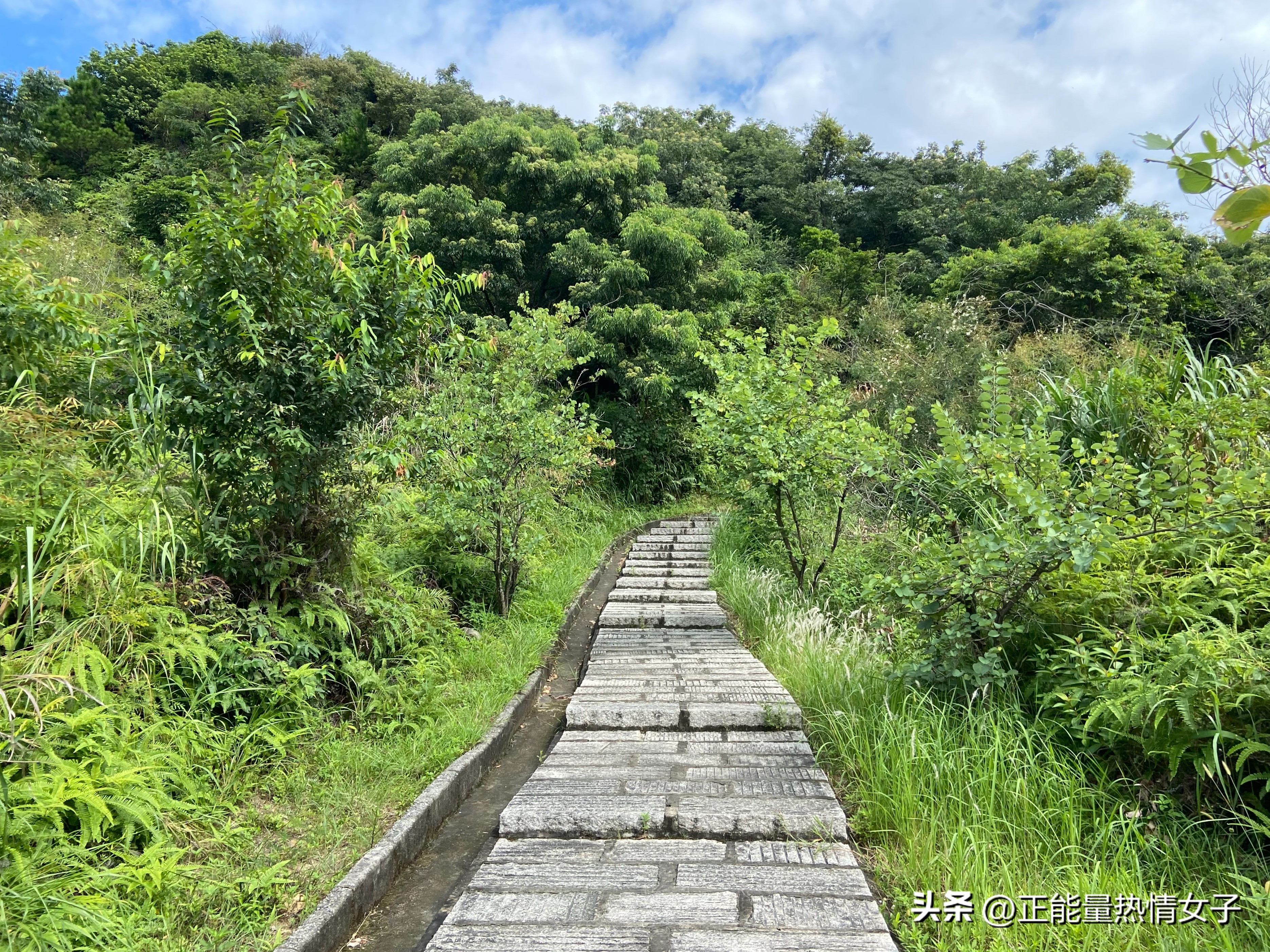 广州梅花岭森林公园,广州市白云区五峰山森林公园