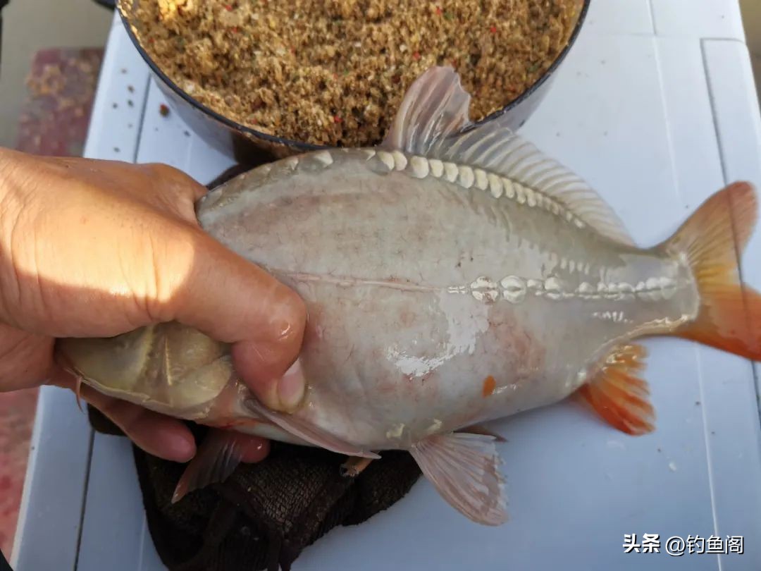 为什么浮漂怎么推都不变目,浮漂怎么调都不会变目数