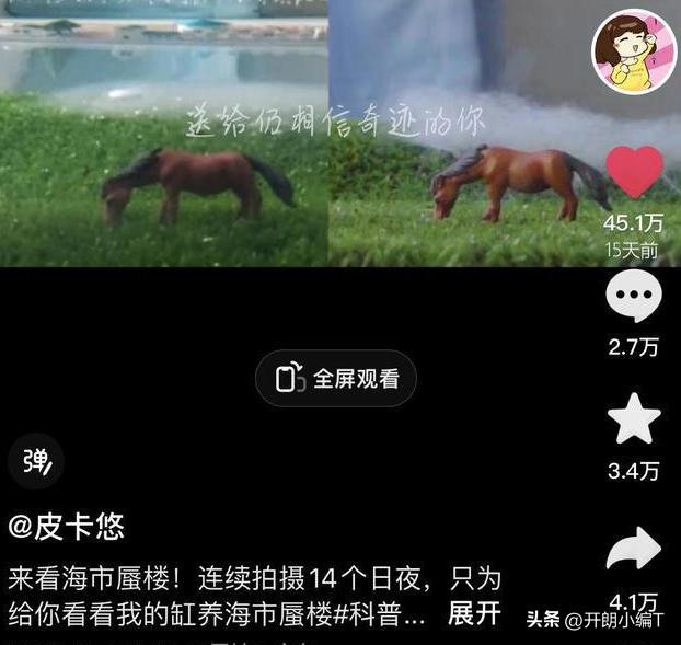 女生用一个鱼缸做出海市蜃楼，裸辞外企高薪岗位