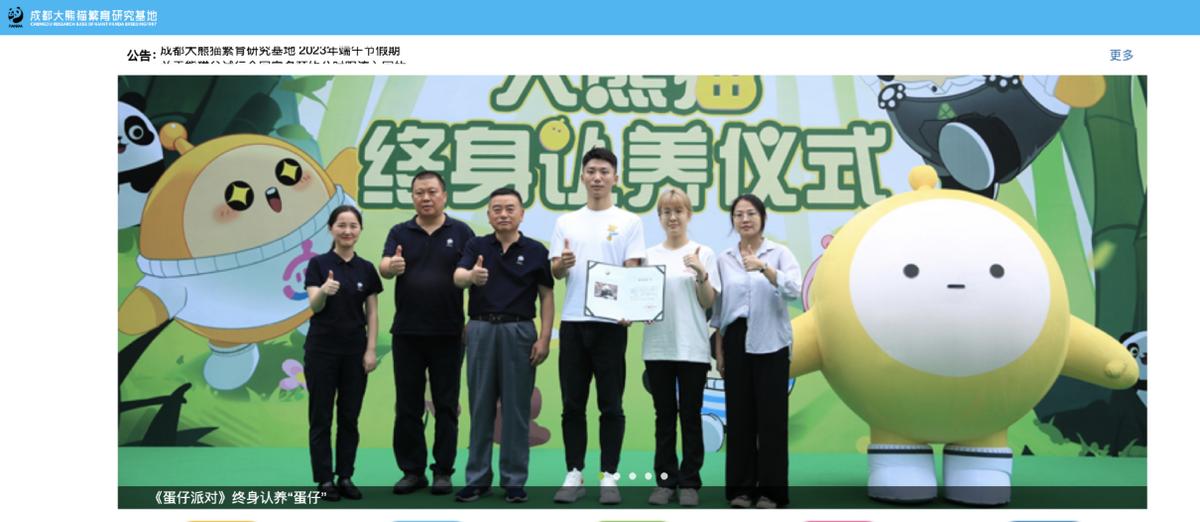 蛋仔派对一周年游戏流量风向标,这才是蛋仔派对游戏的真正意义