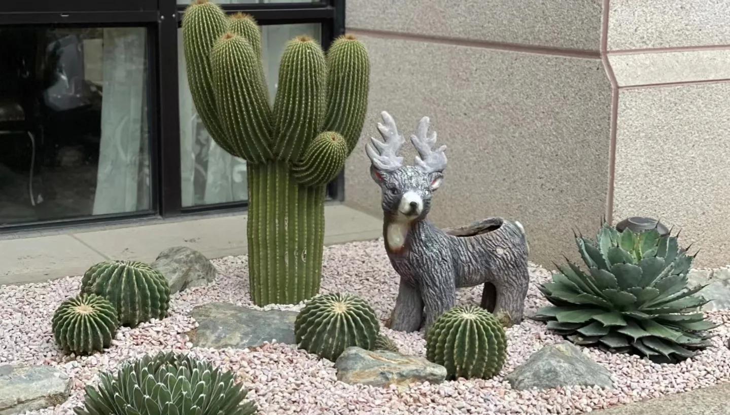 新手开花店怎样进货,新手如何开一家网上花店