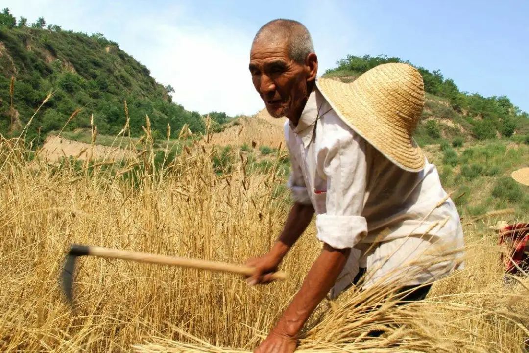 学会应对人生的焦虑失落与死亡,如何以正确的心态面对死亡