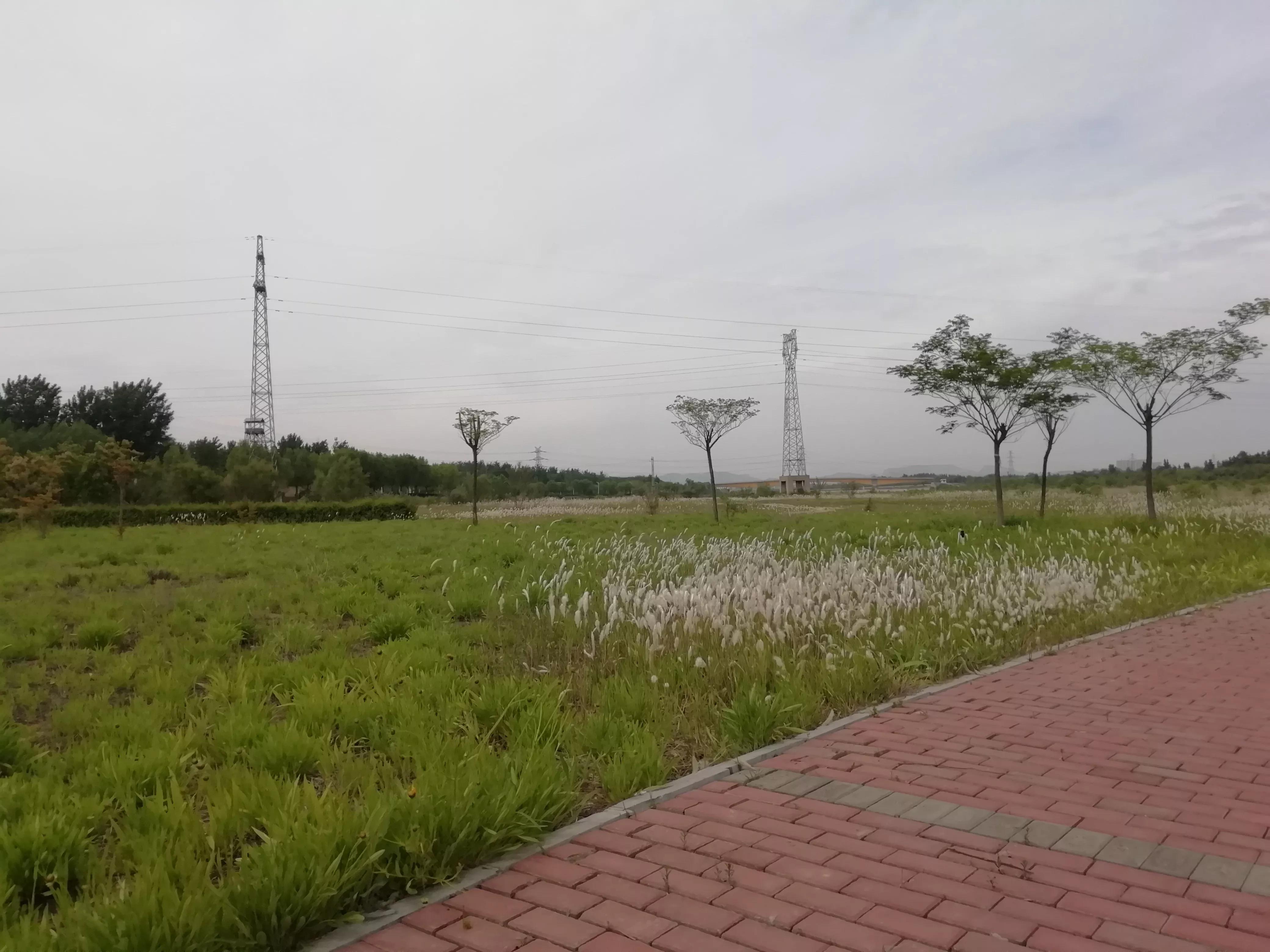 我的跑步历程回忆之路,我的运动经验分享