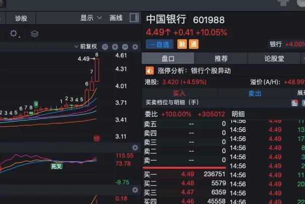 在特别大的花园里种特别大的种子,在特别大的花园里面摘下一朵花