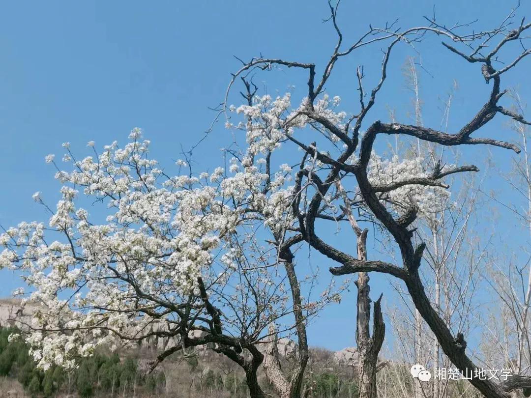 母亲是文盲沟通很困难,妈妈是文盲想认字