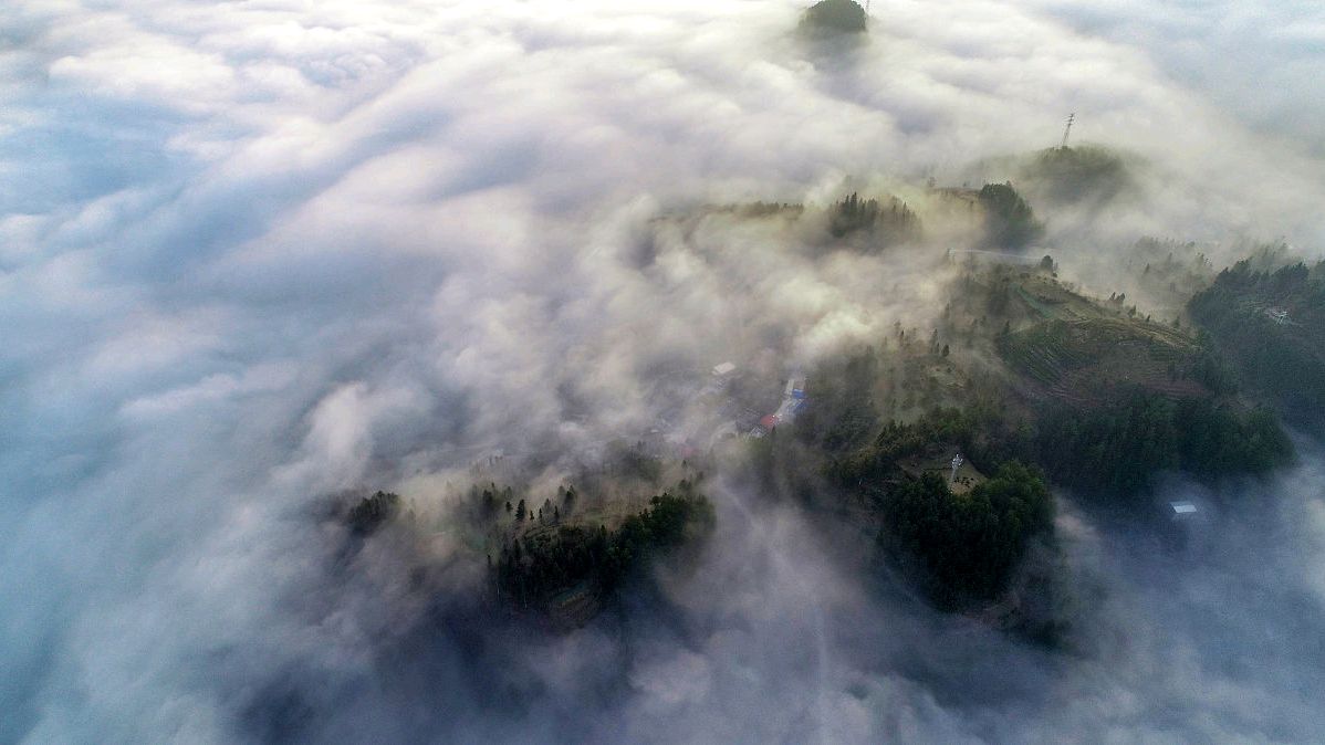 食谷者愚食肉者鄙食气者寿,食肉者勇食谷者智不食者寿