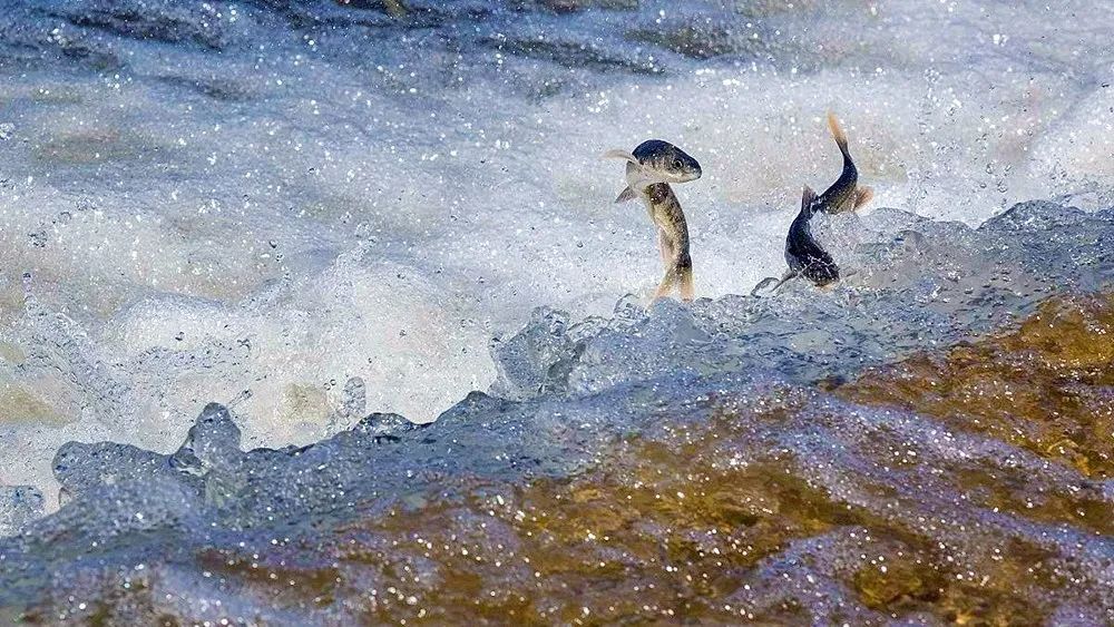 8月中旬带孩子去甘肃,带孩子去敦煌7天