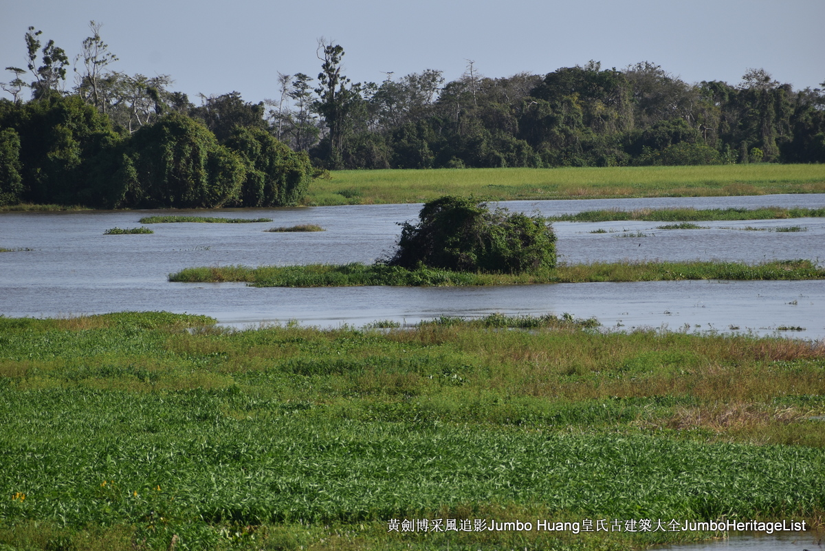 第5047回：消失的亚马逊文明，流失的林下聚居地