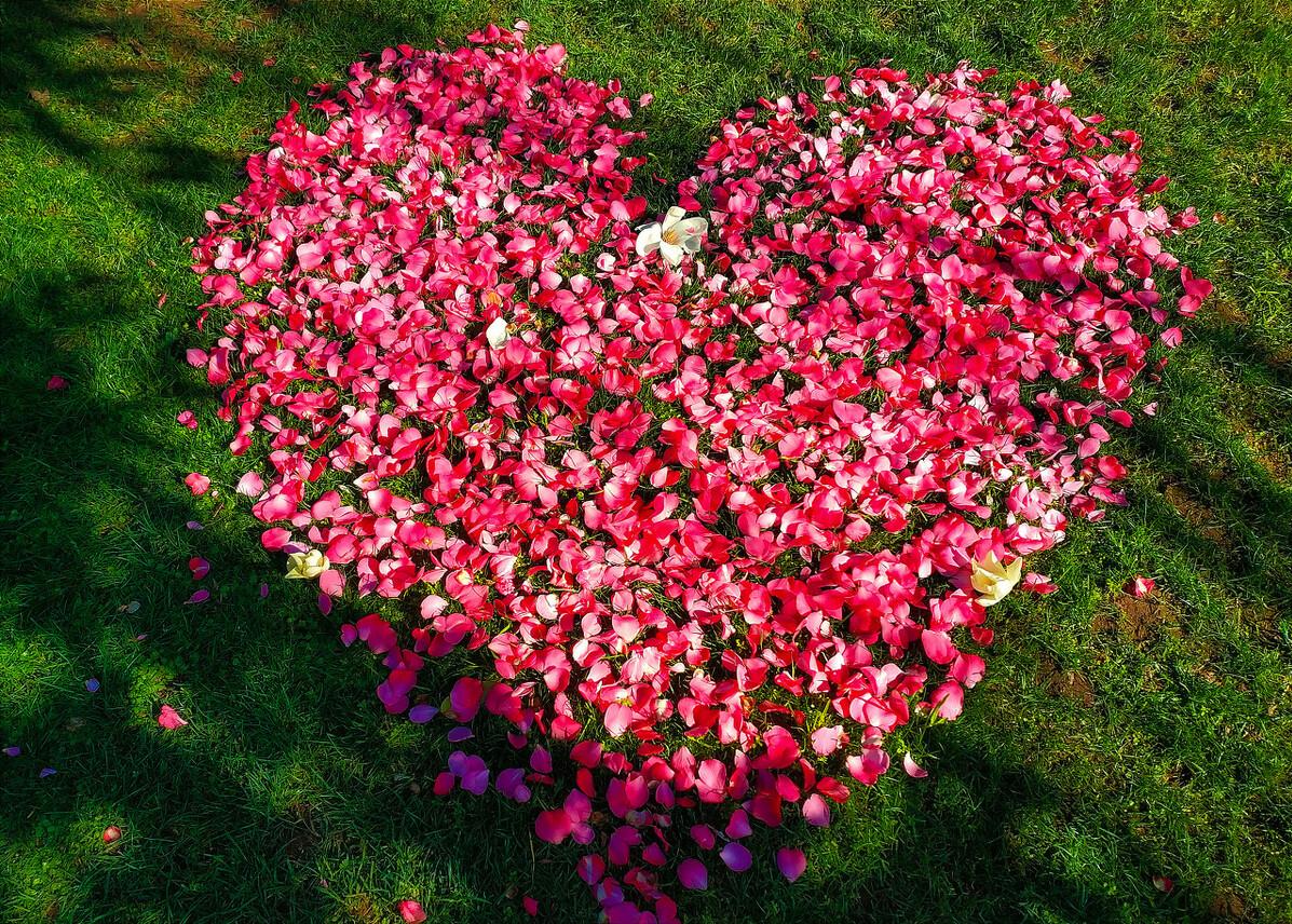 世界十大昂贵摩托车排行榜,全球最贵摩托前十排行榜