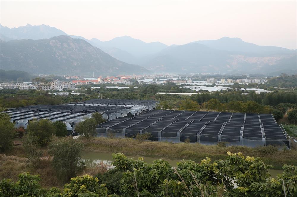 鍥藉叞绉嶈嫍,灞变笢鍥藉叞绉嶈嫍