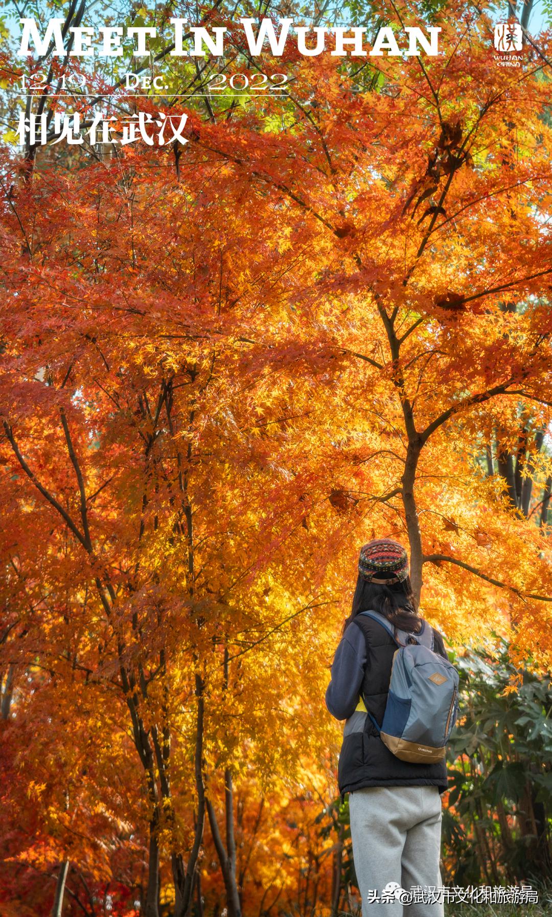 武汉元旦天气情况,武汉元旦有哪些活动