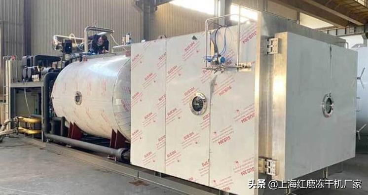 食品冷冻干燥机参数,福建冻干机真空冷冻干燥机